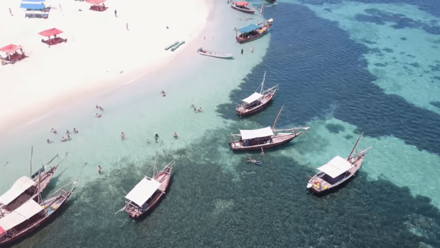 Aerial view of the beach and water
