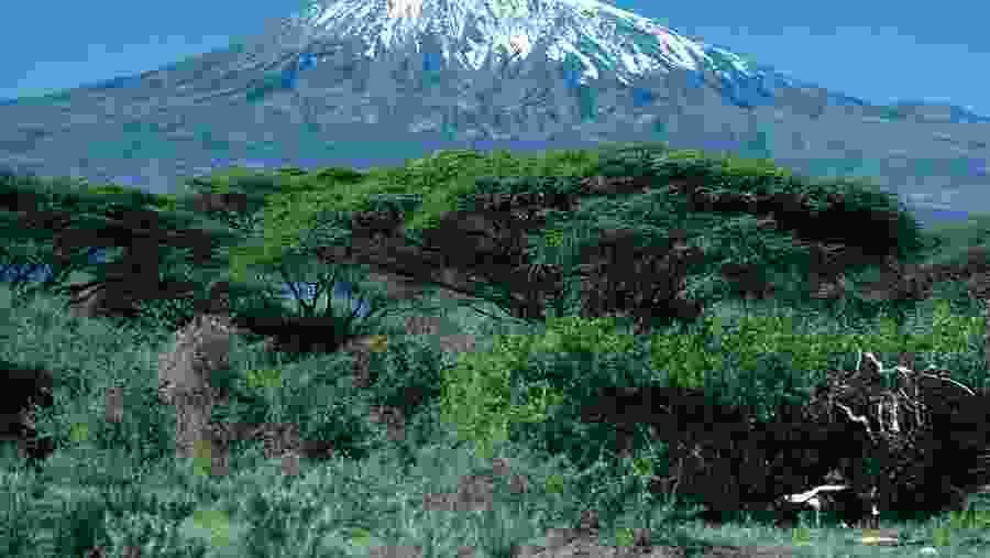 Mount Kilimanjaro