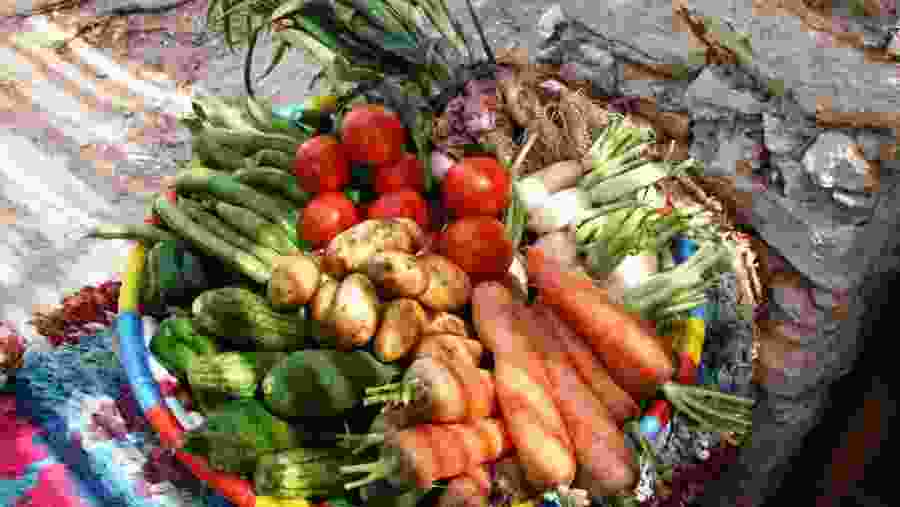 Raw veggies for cooking