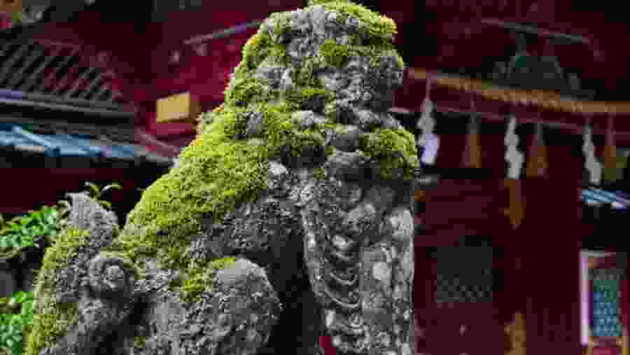 Komainu