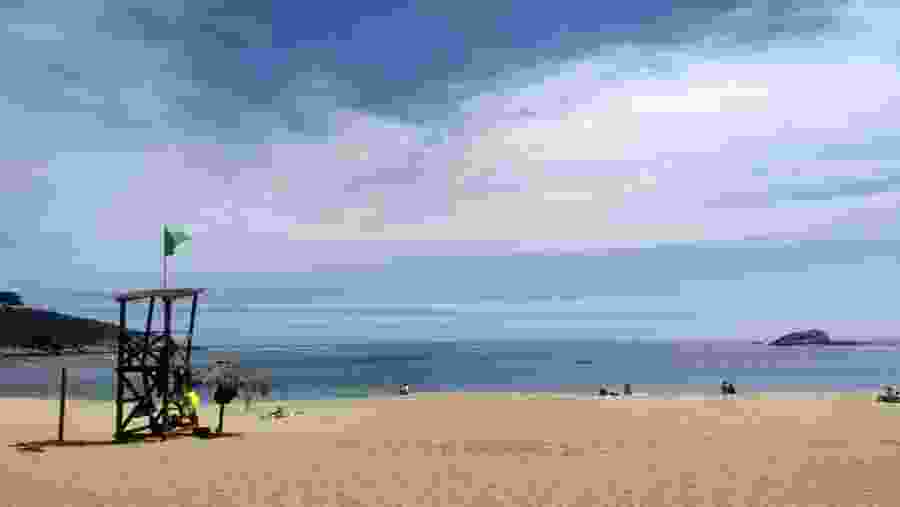 Tour De Navegacion A Los Pinguinos De Humboldt Cachagua Y Zapallar