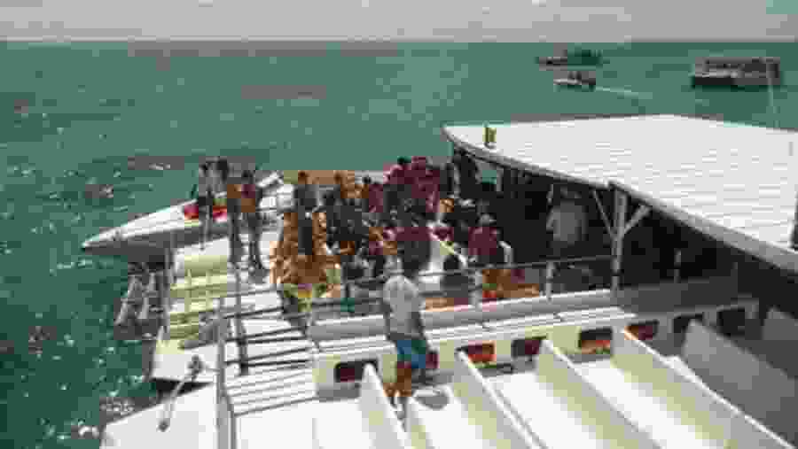 Catamaran rides at the beach
