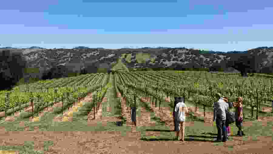 Tour the vineyards of Napa and Sonoma County, California
