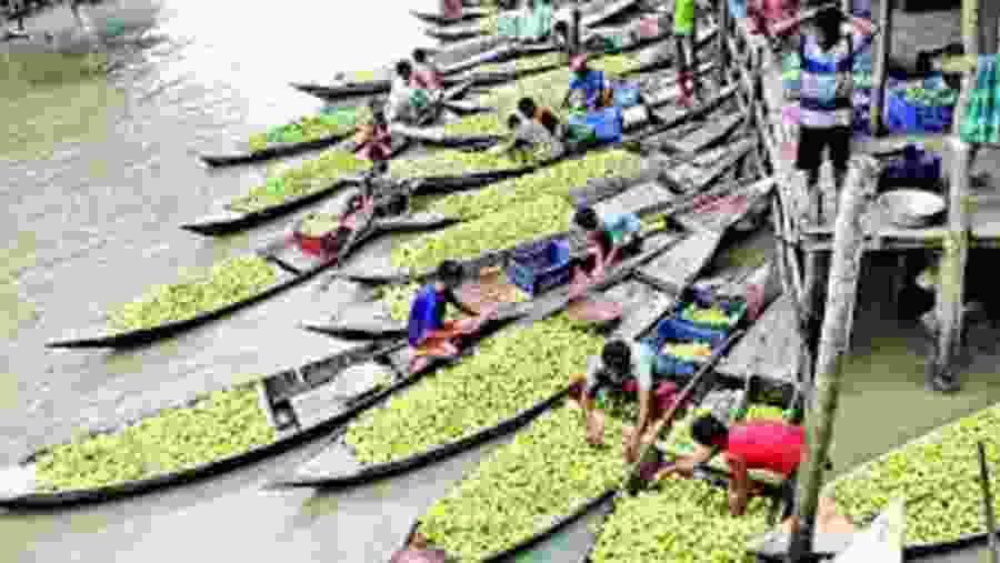 Floating Guava Market