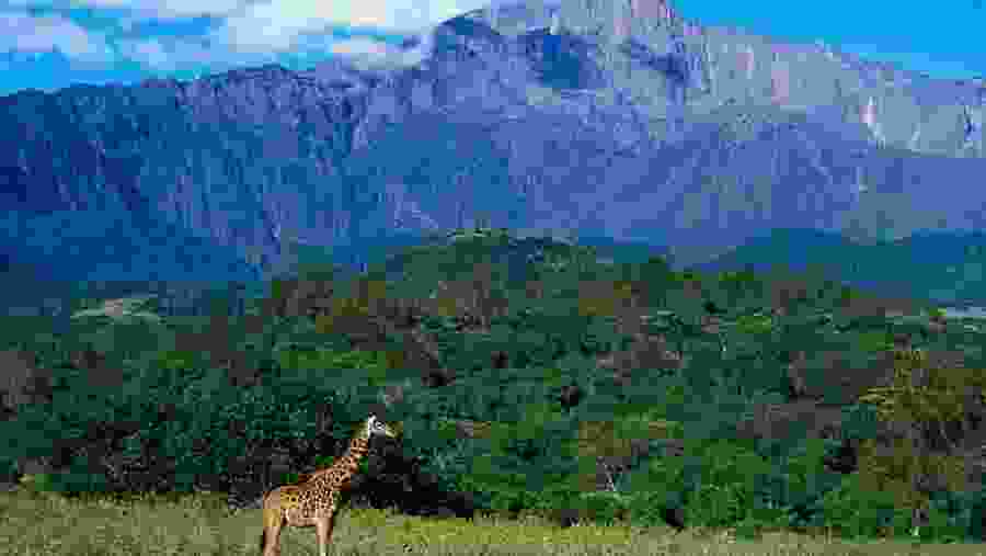 Arusha National Park