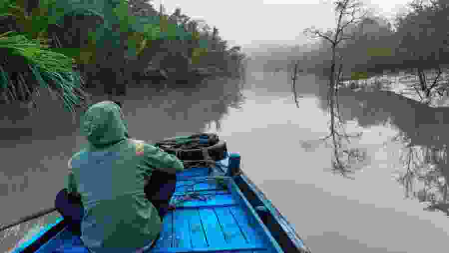 Inside the forest on country boat