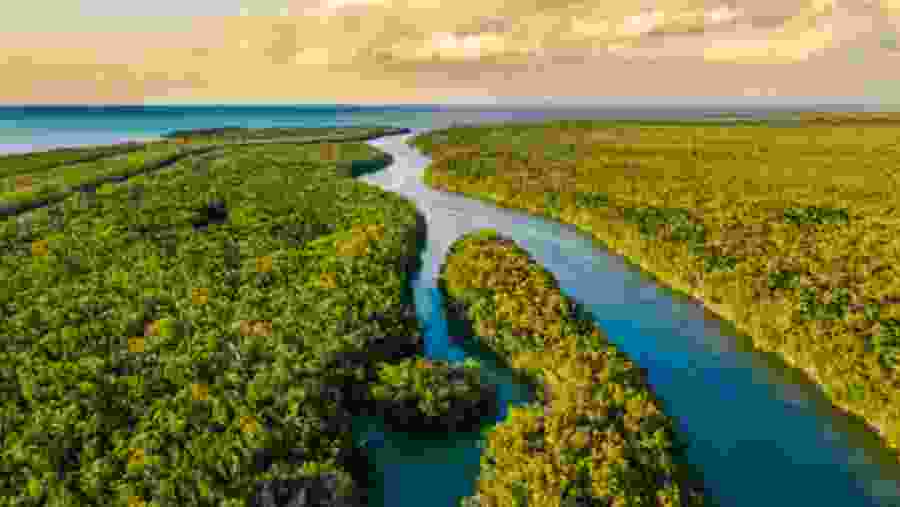 Everglades National Park