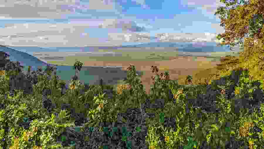 Spot scenic views