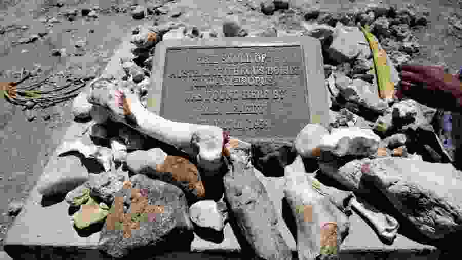 Unveil Olduvai Gorge