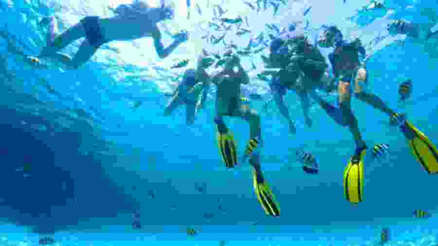 Travelers swimming with the fish in Ras Mohamed Nature Reserve