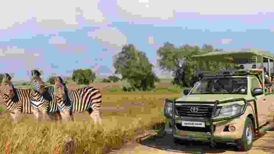 Safari Ride At Lion & Safari Park, South Africa