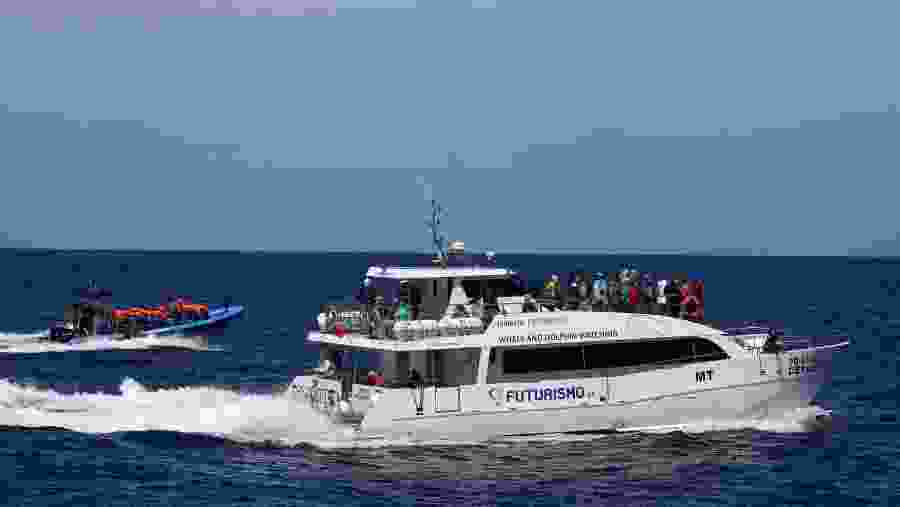 Zodiac and Catamaran