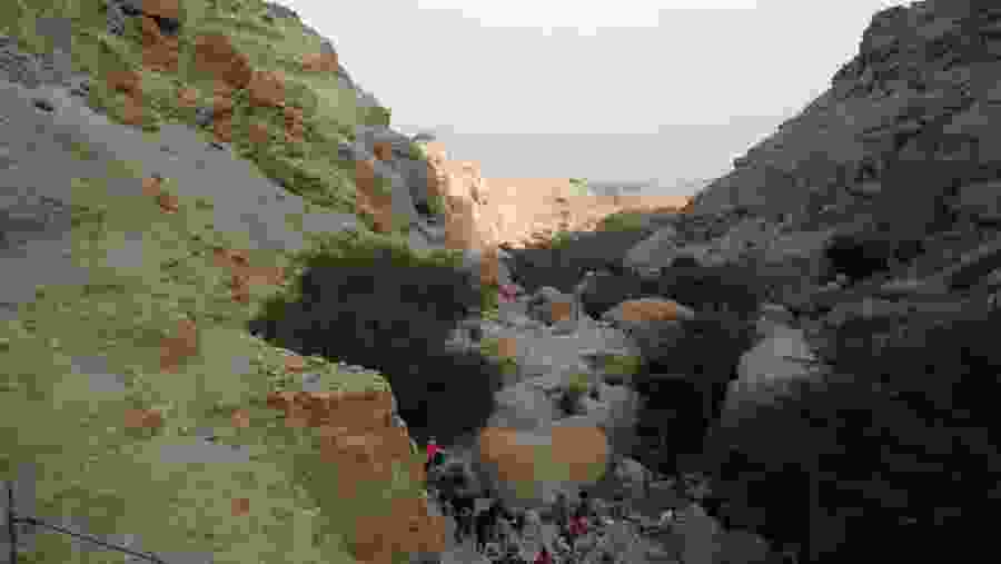 Ein Gedi Nature Reserve