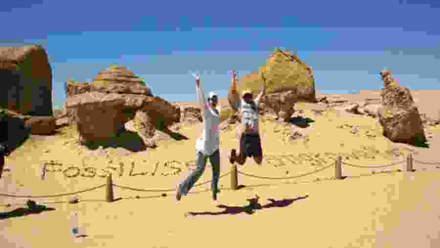 Visit Fossilised Mangroves