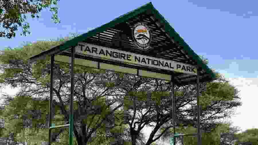 Tarangire National Park