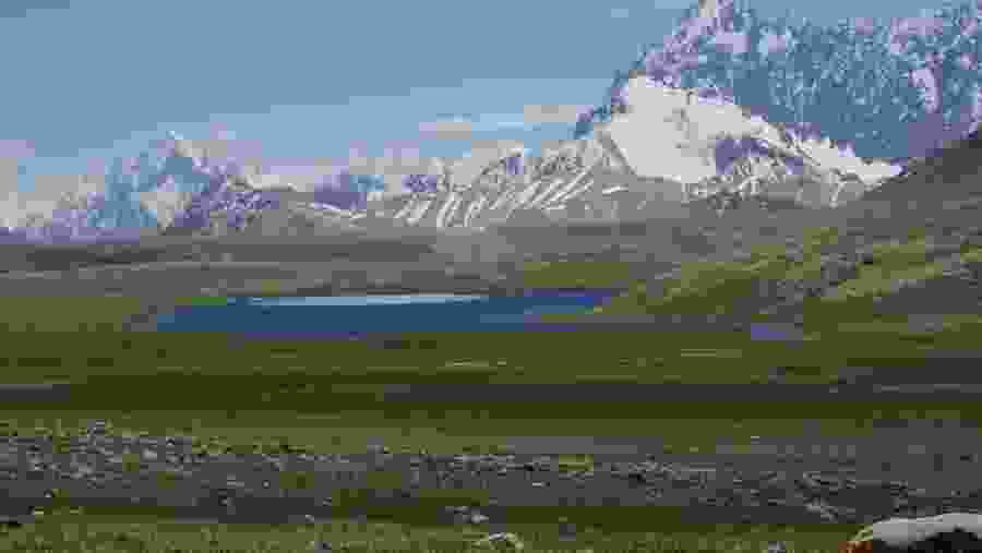 The Peak