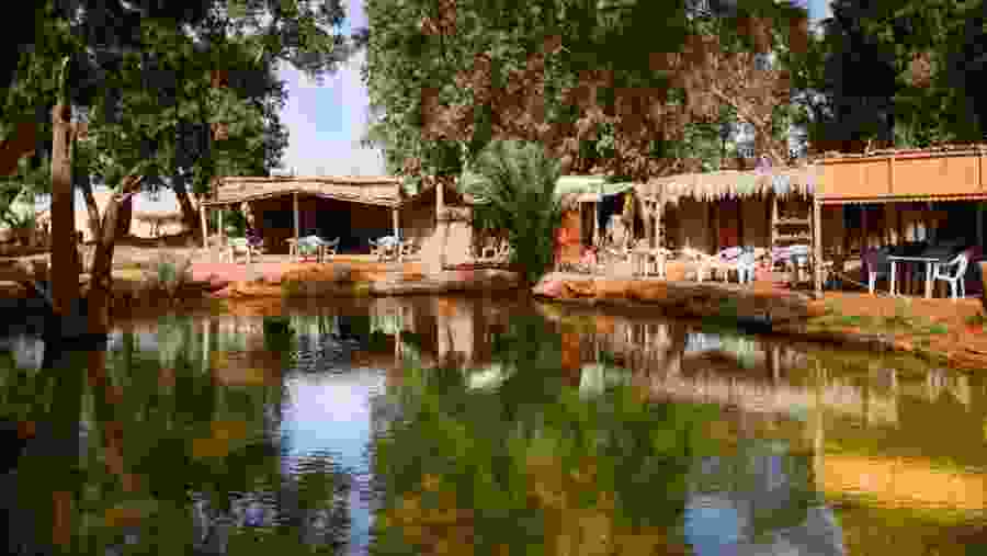 Rest at an Oasis Camp in Zmela