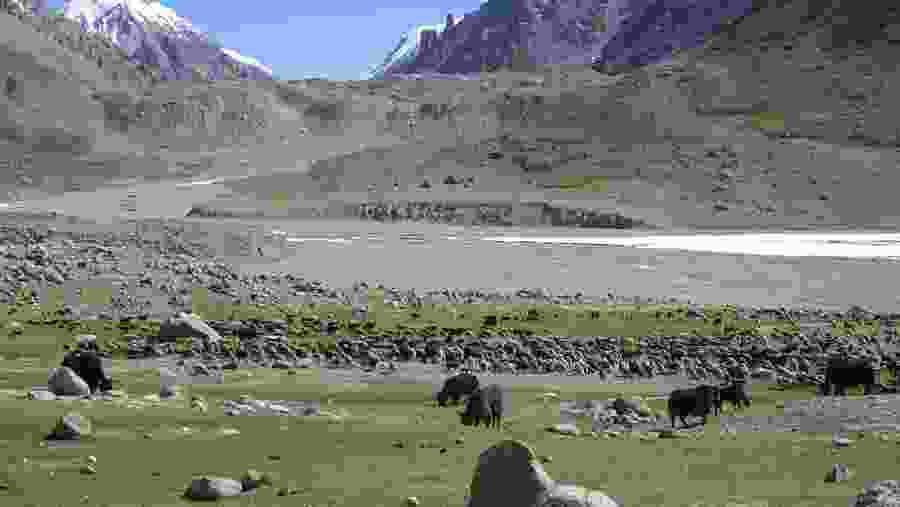 Pamir 