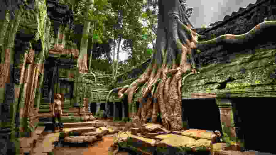 Ta Prohm Temple