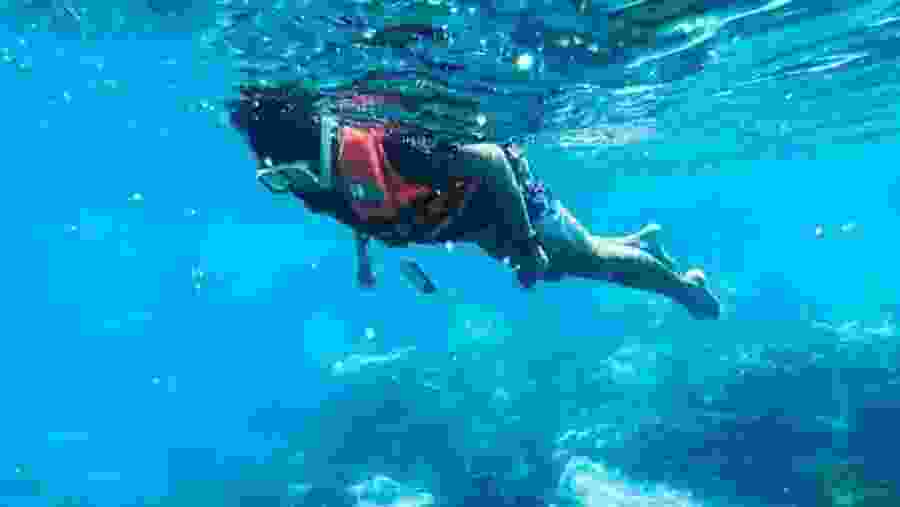 Snorkeling in Negombo