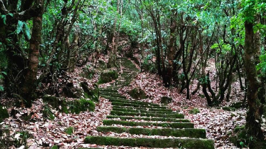 Shivapuri Nagarjun National Park,HQ