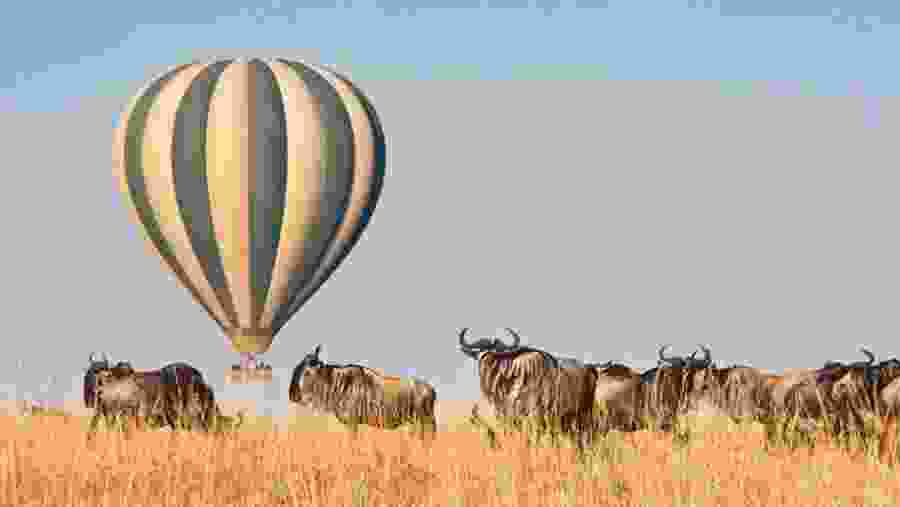 balloon safari