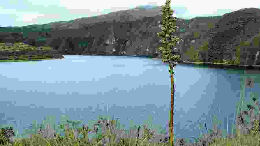 Visit the City of Cotacachi and admire the views