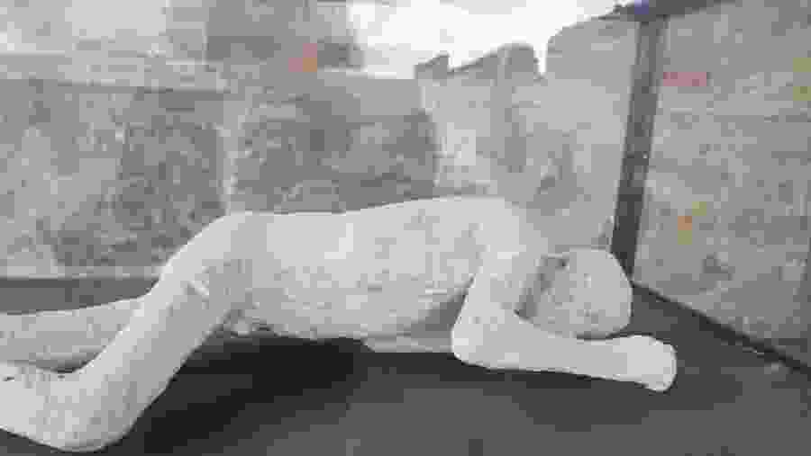 Cast of the Pompeii victims