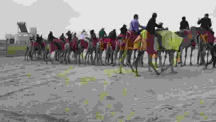 Camel Ride