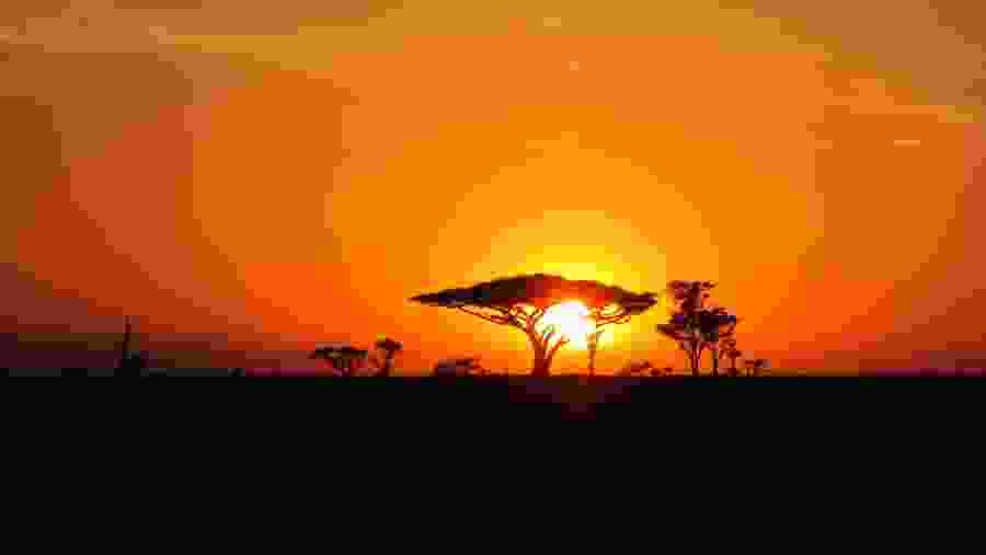 Sunset at Serengeti