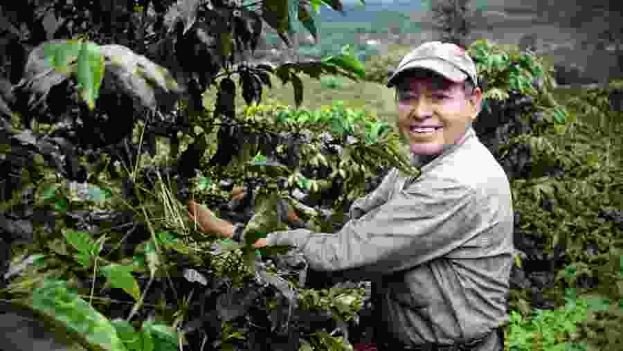 Colombia