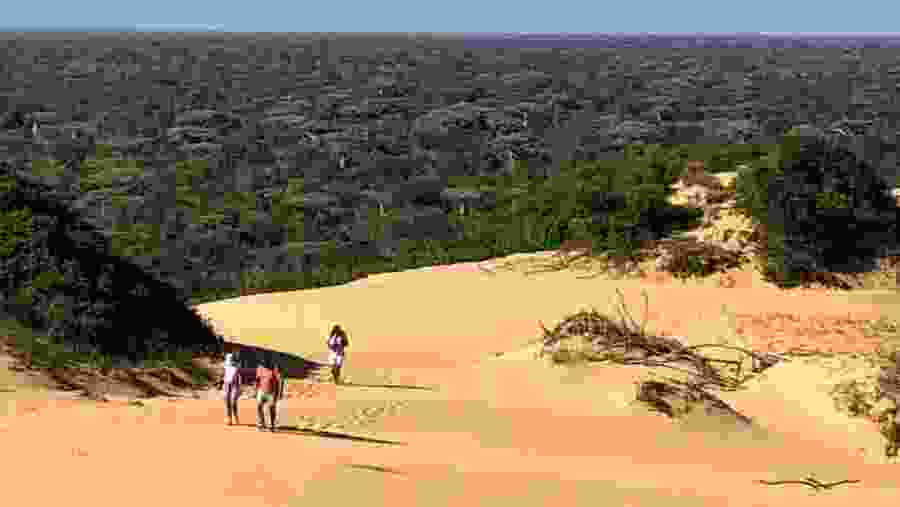 The d'une kirindy mitea