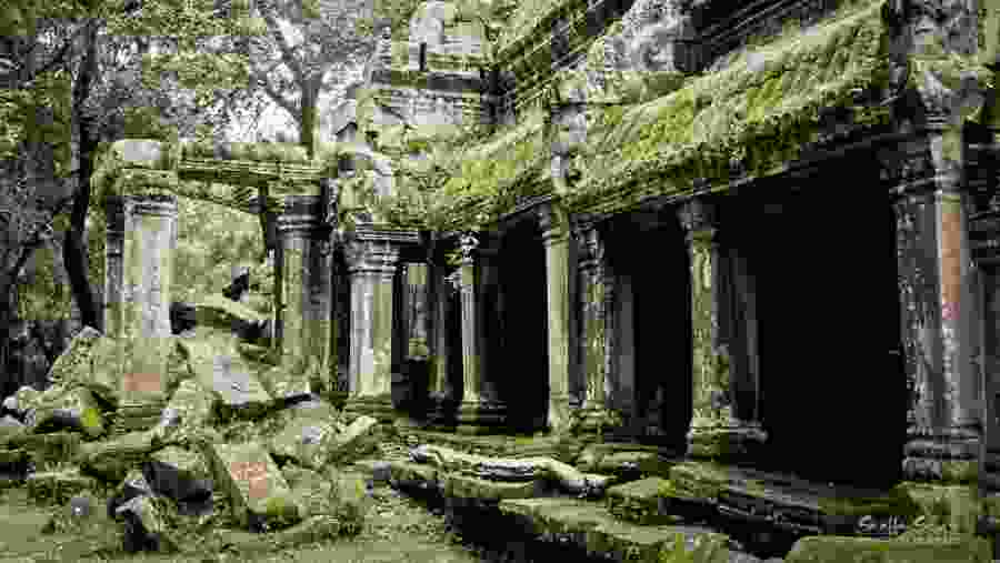 Ta Prohm, Siem Reap