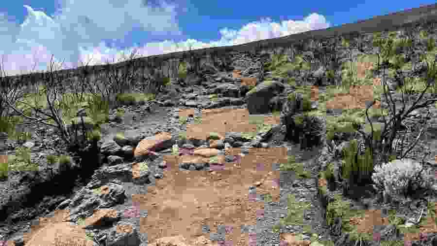 Kilimanjaro Trekking