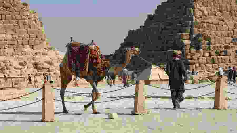 Explore Giza Pyramids with a Camel Ride, Egypt