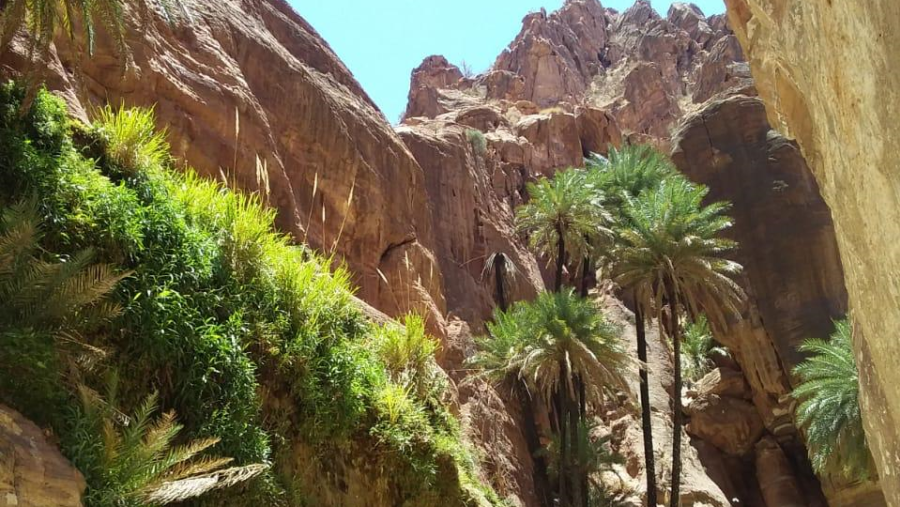 Ghwair Canyon