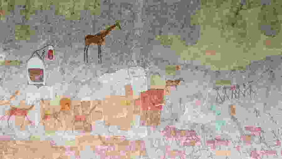 San Paintings in Inanke Cave