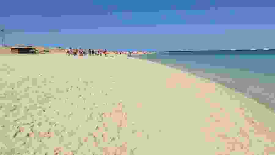 Desert