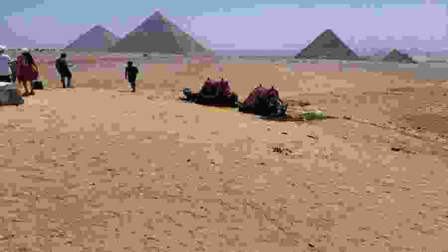 Travelers at the Giza Necropolis