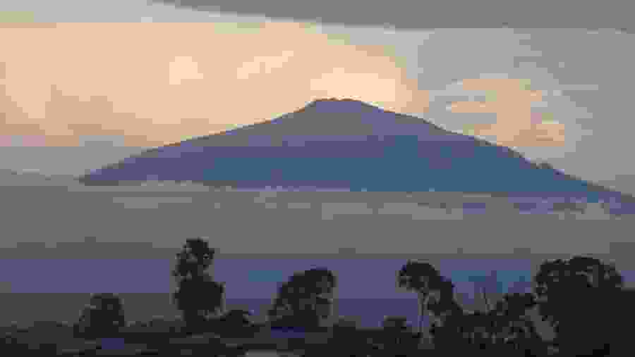 Mount Cameroon
