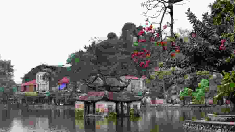Visit Thay pagoda