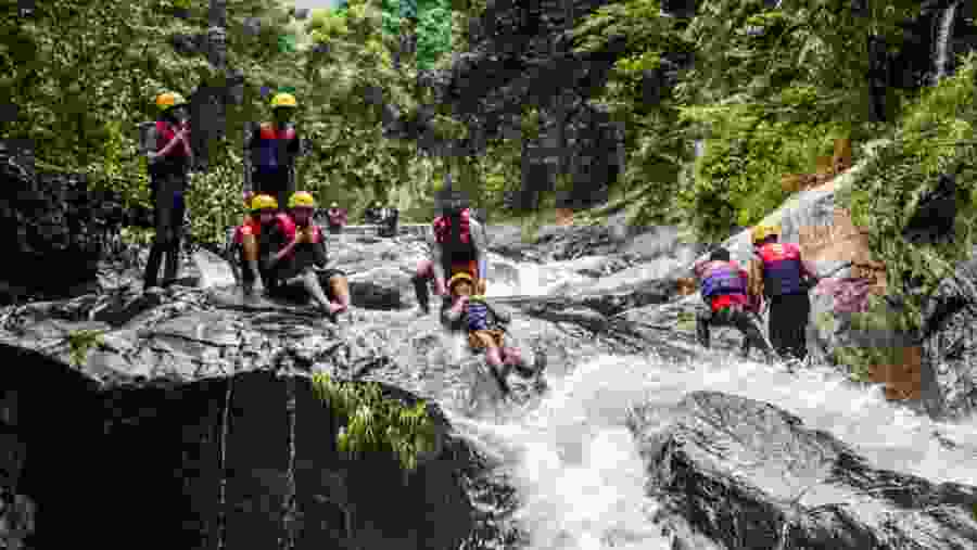 Go Gaga in the Waters!