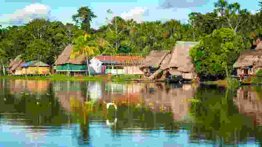 Amazon river tributary