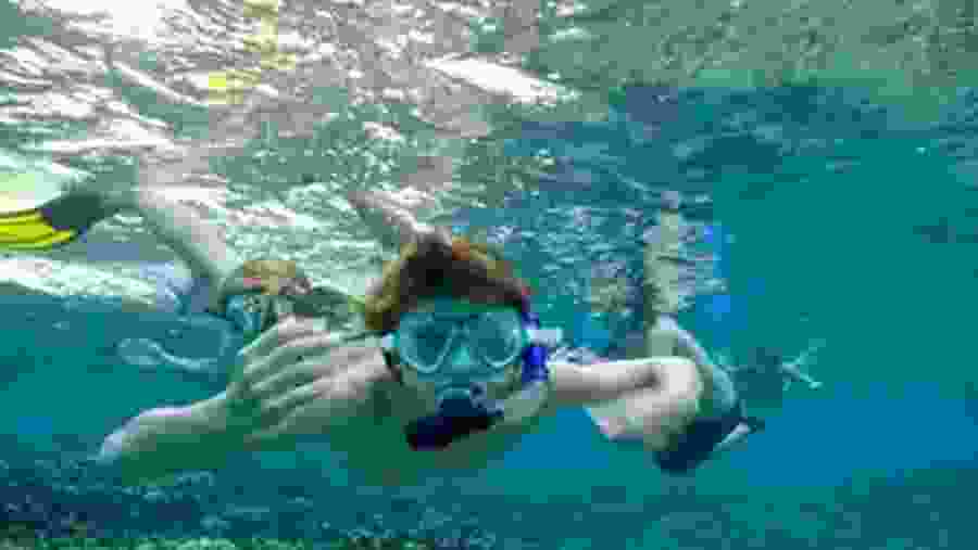 Snorkeling in Negombo