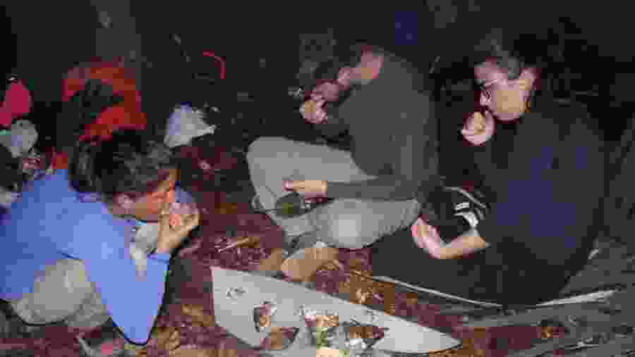 Tasting Fish in Amazon