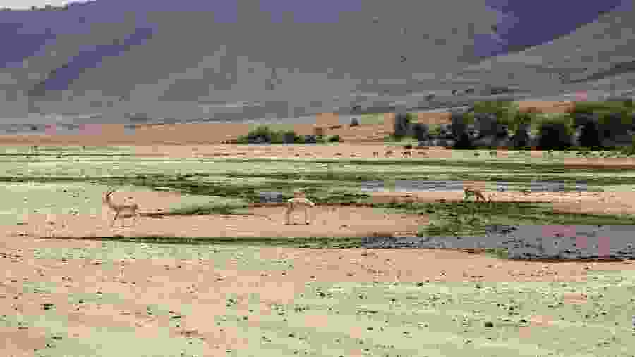 Ngorongoro Conservation Area, Tanzania