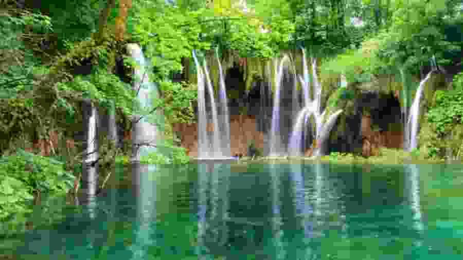 Cuc Phuong National Park