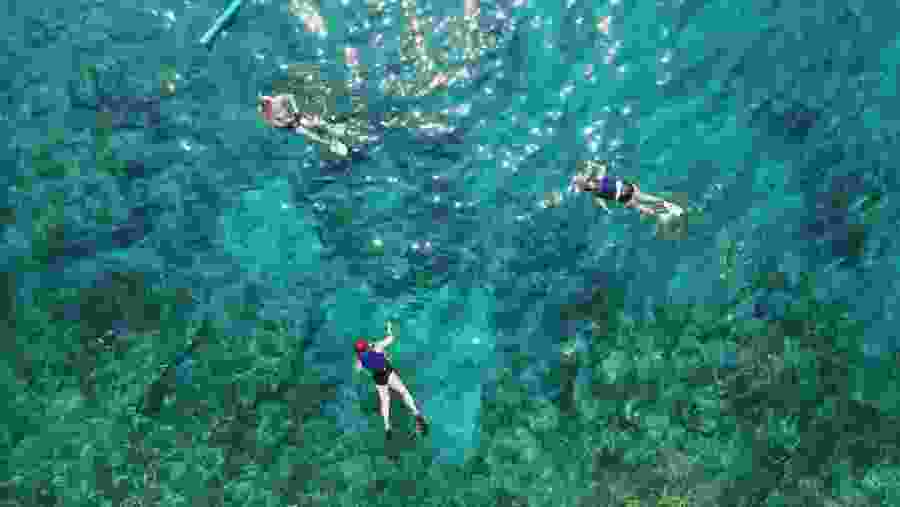 Snorkel in the Indian Ocean