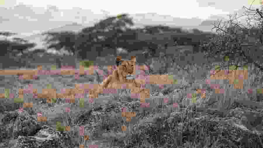 Serengeti National Park