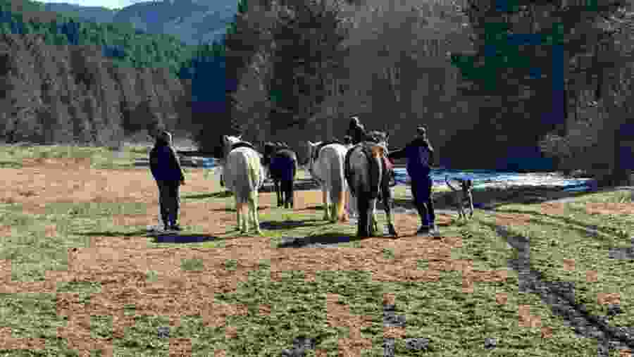 Horse Riding Albania